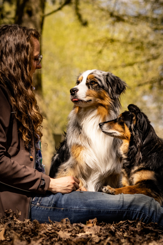 Hundetraining Hundeherzensführung Persönlichkeitsentwicklung mit Hund