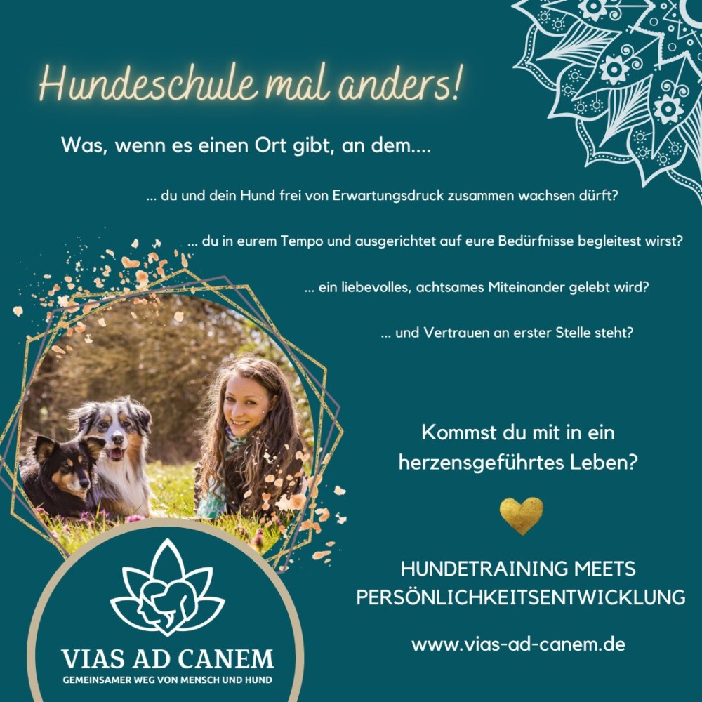 Hundeschule Harsefeld Hundeschule Sauensiek Hundeschule Zeven